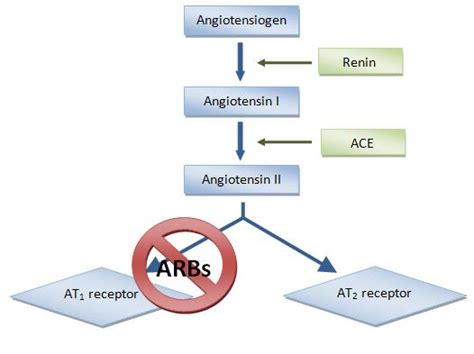 ACE Inhibitors: Congestive Heart Failure - Physiopedia