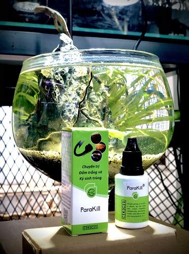 Thuốc Parakill trị đốm trắng cho cá - Shop Thủy Sinh Xanh