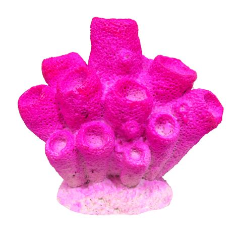 marina pink sponge coral reptilian arts