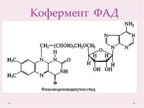 Структурным Компонентом Коэнзима А Является – Telegraph