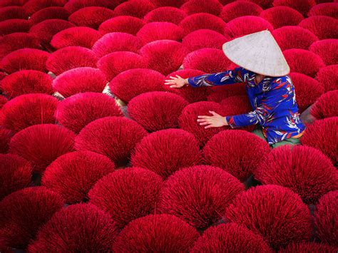 experiencing  exotics