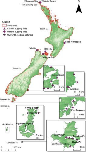 Integrated Sdm Database Enhancing The Relevance And Utility Of Species