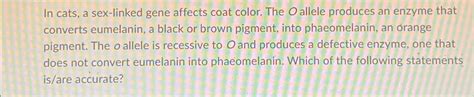 Solved In Cats A Sex Linked Gene Affects Coat Color The O Chegg