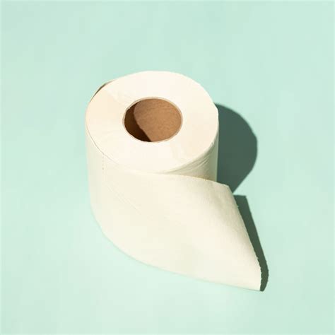 Should You Convert To Bamboo Toilet Paper?