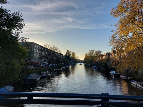 20221111160535 November 12 Dandan T Flickr
