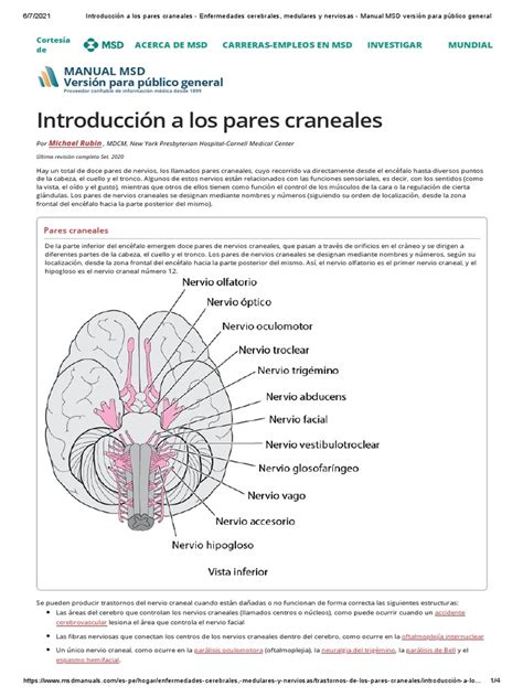 4 Introducción A Los Pares Craneales Enfermedades Cerebrales