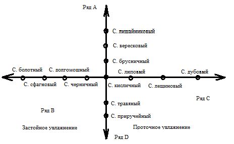 Работа №3. Лесная типология