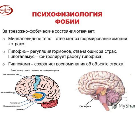 Тревожность и страх: как преодолеть сложные эмоции - научный подход ...