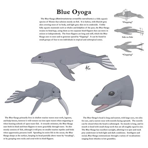 The Blue Oyoga (Homienatatorus versatilis caeruleum), a fully aquatic