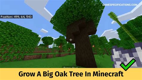 2 Methods To Grow A Big Oak Tree In Minecraft Game Specifications