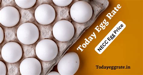 Tamil Nadu Egg Rate (NECC Today Egg Price in Tamil Nadu)