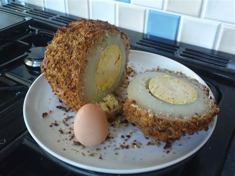Boiled Scotch Ostrich Egg - Random Photo (39795616) - Fanpop