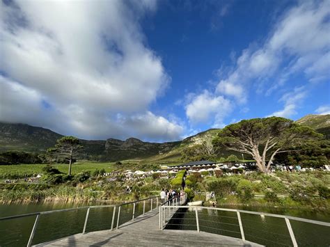 Cape Point Vineyards / Noordhoek - Cape Town with Kids