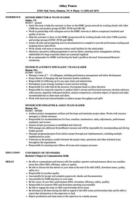 Team Leader Job Description Template Artofit