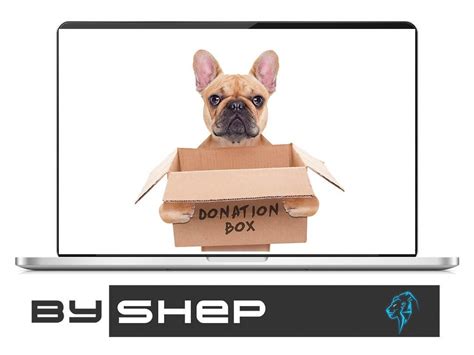 Что такое донат? Лучшие площадки для сбора средств - ByShep