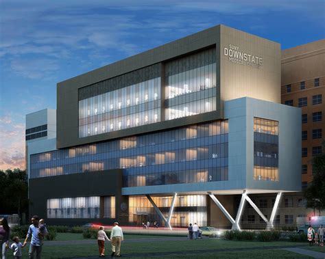 suny downstate velez organization