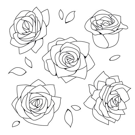 Rose flower outline vector set 26580561 Vector Art at Vecteezy