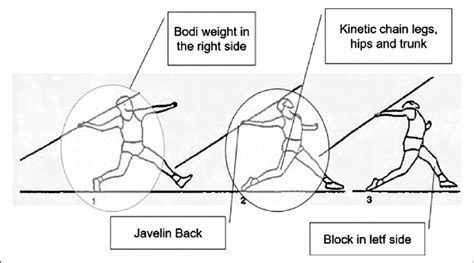 Actions in the final double support. | Download Scientific Diagram