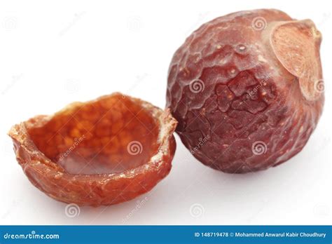 Sapindus Mukorossi Or Indian Soapberry Stock Photo Image Of Closeup