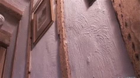 Wet Silk Camisole French Knickers Lingerie Addict Clips Sale