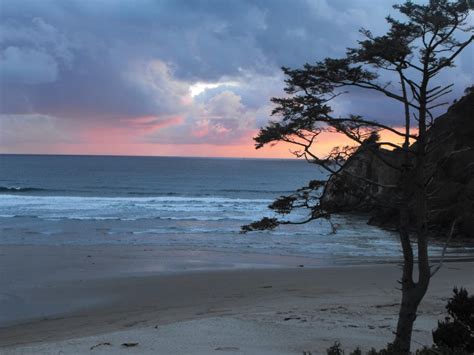 Agate Beach Motel | Oceanfront Suites in Newport, Oregon