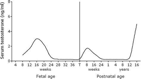 Neuroscience And Sex Gender Looking Back And Forward Journal Of Neuroscience