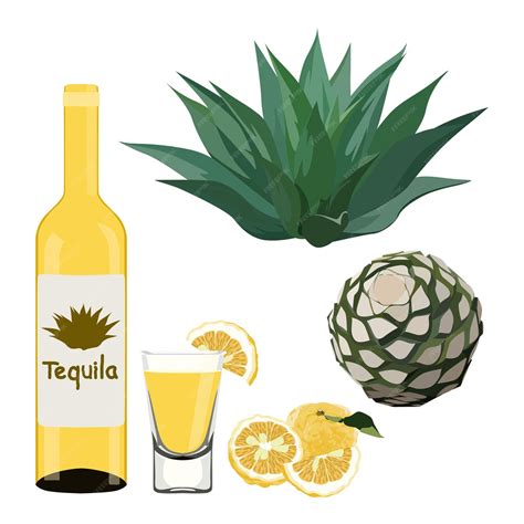 Premium Vector | Tequila production by Agave Glass bottle shot with