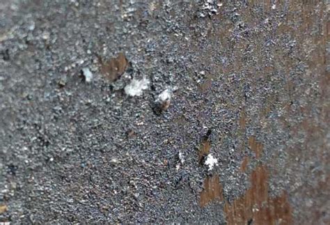 14 м – M 14 - винтовка: автоматический карабин м14, размеры магазина