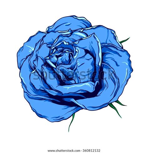 Blue Rose Vector Illustration Stock Vector (Royalty Free) 360812132