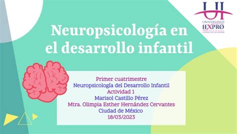 Neuropsicolog A En El Desarrollo Infantil