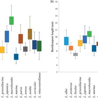 Phylogeny Of Laccaria Species Based On Ml Analysis Of A Concatenated