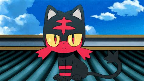 Litten Cat Pokemon Pokemon  Pokemon Eeveelutions