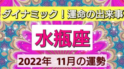 水瓶座【2022年11月の運勢】ダイナミックな動き！運命の出来事 富と財産の時期 星とカードで徹底リーディング Lifeee占い動画