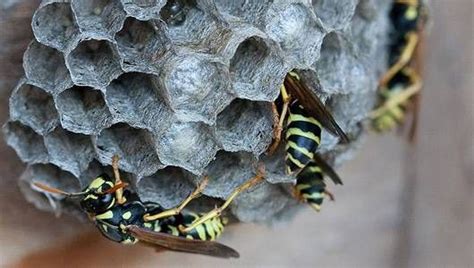 10 More Things You Shouldnt Put In Your Vagina THE FIRST FORTY