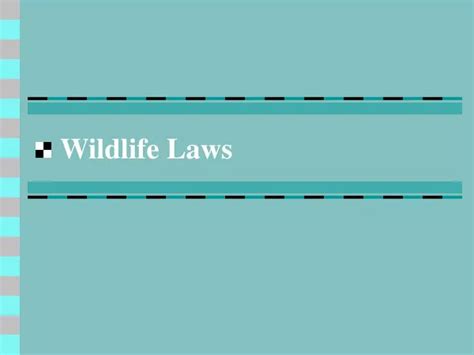 PPT - Wildlife Laws PowerPoint Presentation, free download - ID:6005926