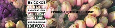 Тюльпаны в Ярославле — Доставка! Опт! Розница! | Принимаем предзаказы ...