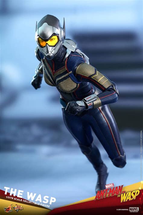 Hot Toys The Wasp Toys Zone D Figures Price List Reviews