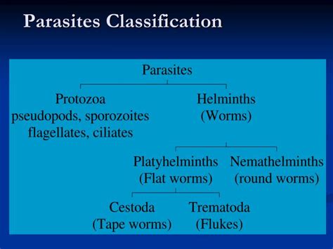 Ppt Introduction The Microbial World Classification Taxonomy Nomenclature Powerpoint