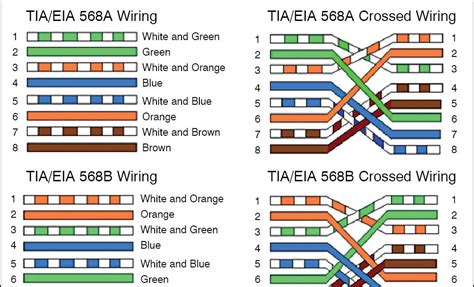Understanding Rj45 Wall Socket Wiring Diagrams – Moo Wiring