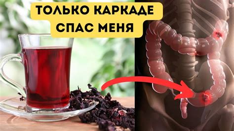 Многие пьют КАРКАДЕ, но даже не догадываются о том, что творит КАРКАДЕ ...