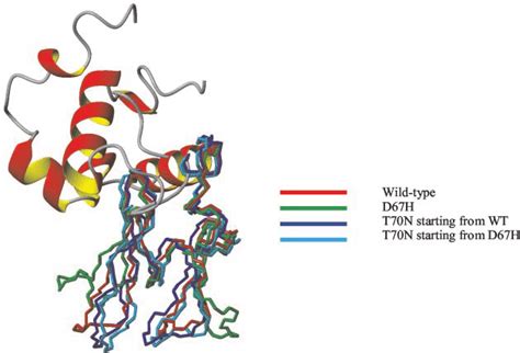 Best-fit superposition of the wild-type and D67H lysozyme crystal ...