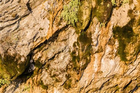 Rock Naked Breed On A Cliff Rocks Near The Sea Stock Photo Image Of Hiking Grunge