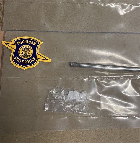 Michigan police arrest man who stopped to pee in Osceola County