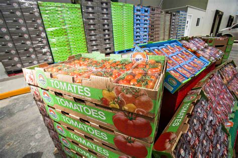 Aumenta Superávit Agroalimentario 3091 A Agosto México Informa