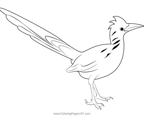 Road Runner 4 Coloring Page For Kids Free Cuckoos Printable Coloring