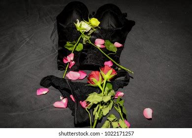 Valentines Day Sexy Lingerie Roses Stock Photo Shutterstock