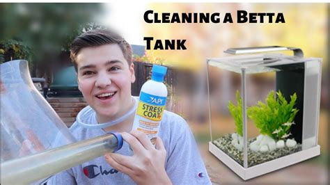 How To Clean A Betta Fish Tank Youtube