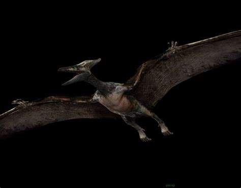 Pteranodon Jurassic Park