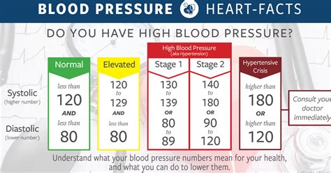 Understanding High Blood Pressure A Quick Guide To Causes Symptoms