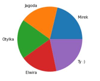 Wykres Ko Owy Pie Chart Miros Aw Mamczur